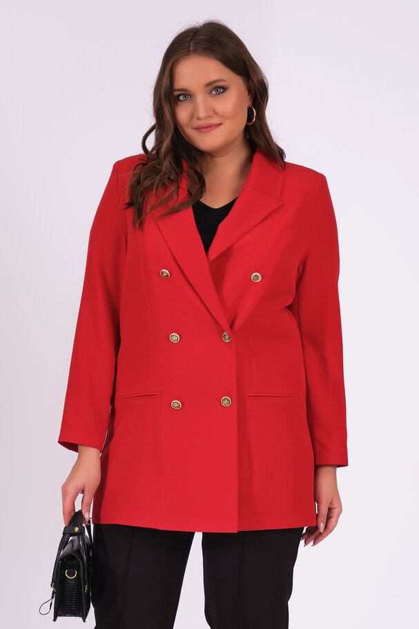 BLAZER CEKET