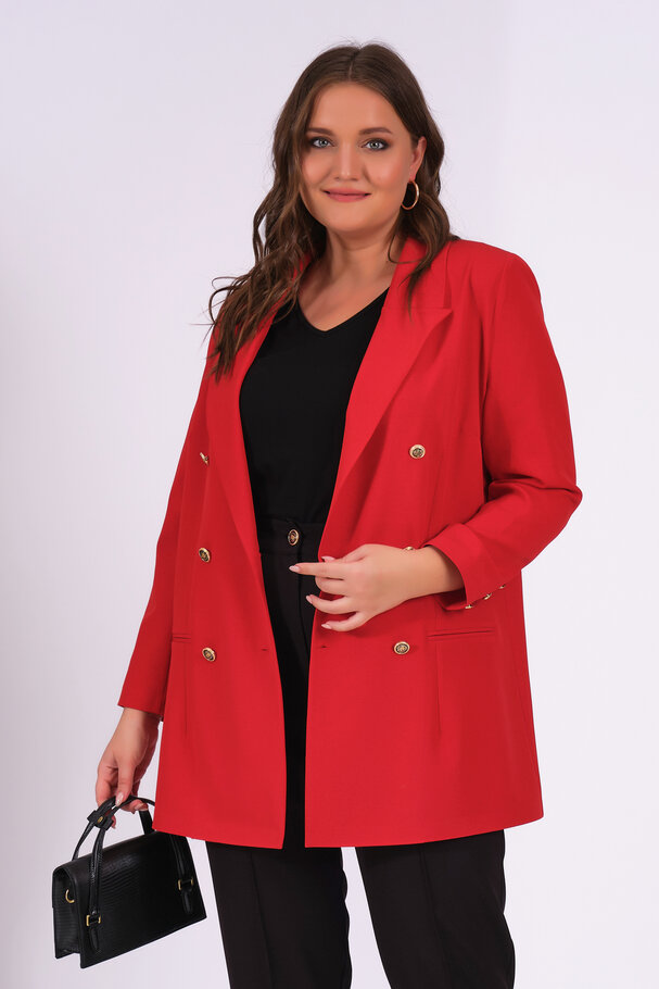 BLAZER CEKET