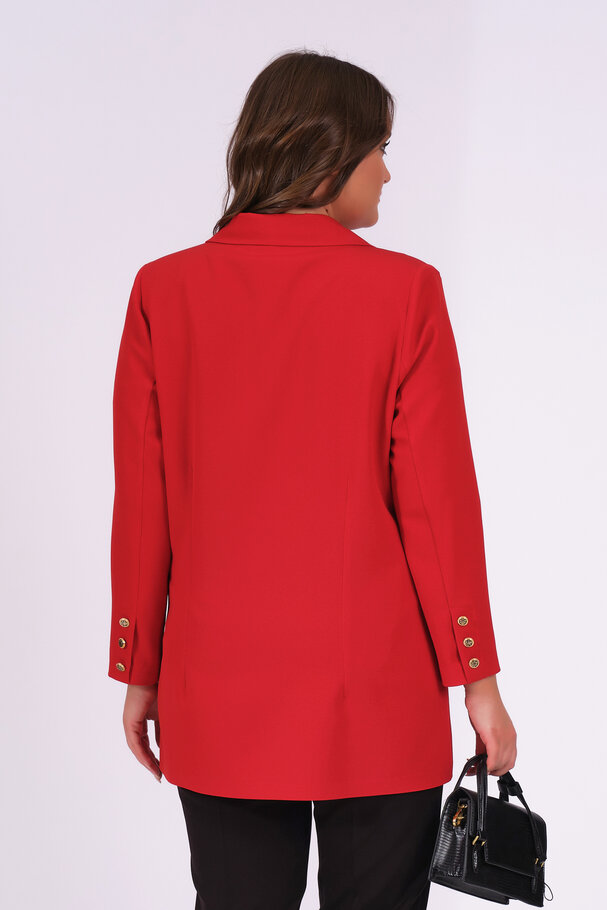 BLAZER CEKET