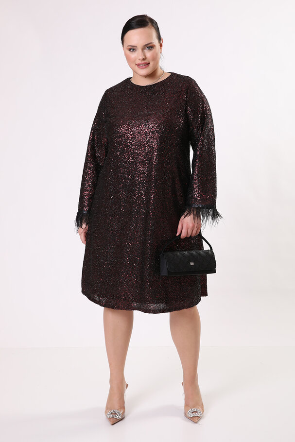 SEQUINED DRESS WITH FRINGINGS