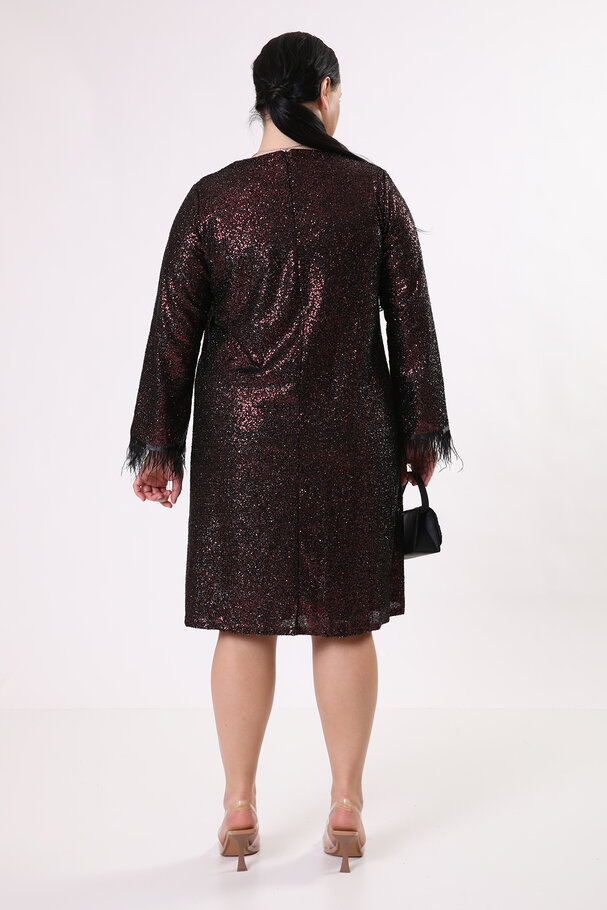 SEQUINED DRESS WITH FRINGINGS