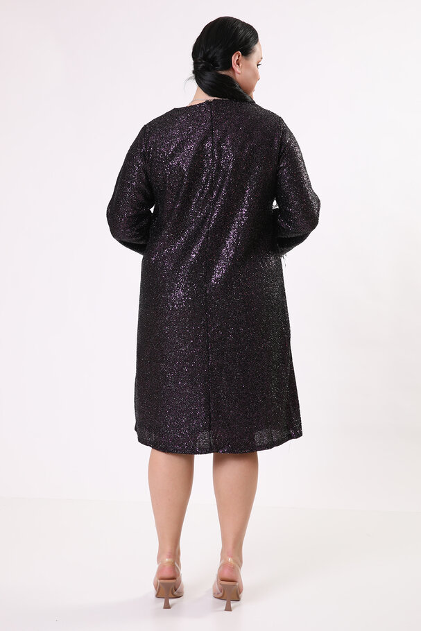 SEQUINED DRESS WITH FRINGINGS