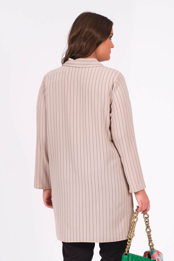 STRIPED SNAP BUTTON SHIRT